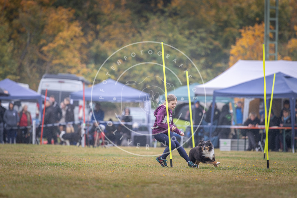 Pfotenfotografie_DV3A0178 | Hundefotografie, Tierfotograf, Pfotenfotografie, Fotoshooting Hund, Hunde Portrait, Hundesport, Hundeportraits, Heideshooting, Hunde, Sportfotograf, Hundefotograf, Turnierhundsport, THS,  - Realisiert mit Pictrs.com