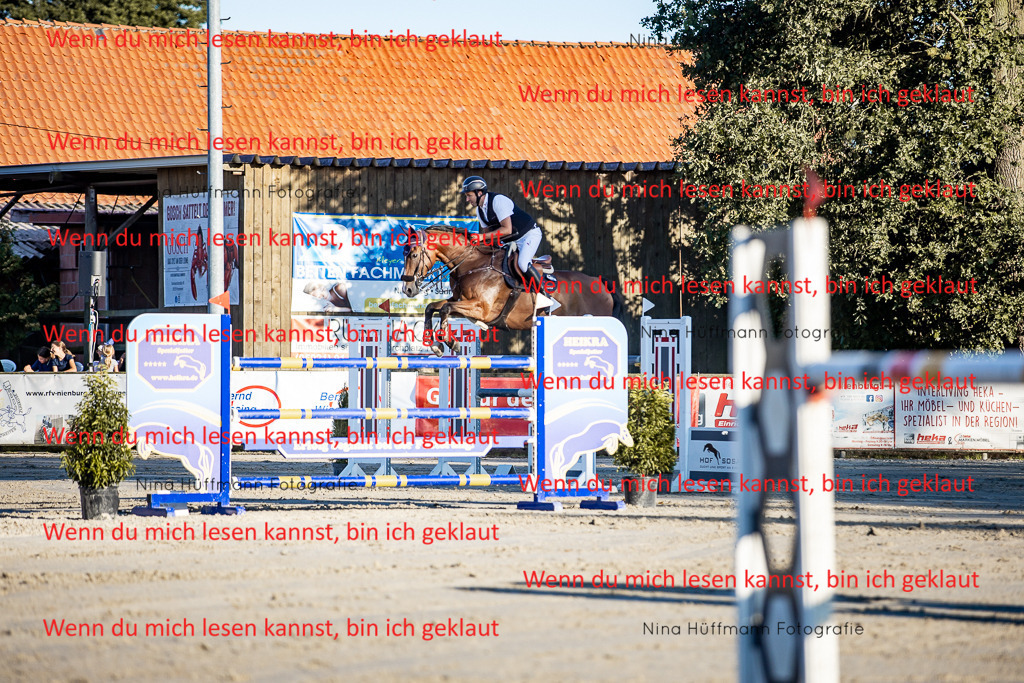 BK1A8453 | Turnierbilder Turnierfotos Nina Hüffmann Turnierfotografie Pferdefotografie Tierzeichnung Haustierzeichnung Pferdezeichnung Hundezeichnung Videograf  - Realisiert mit Pictrs.com