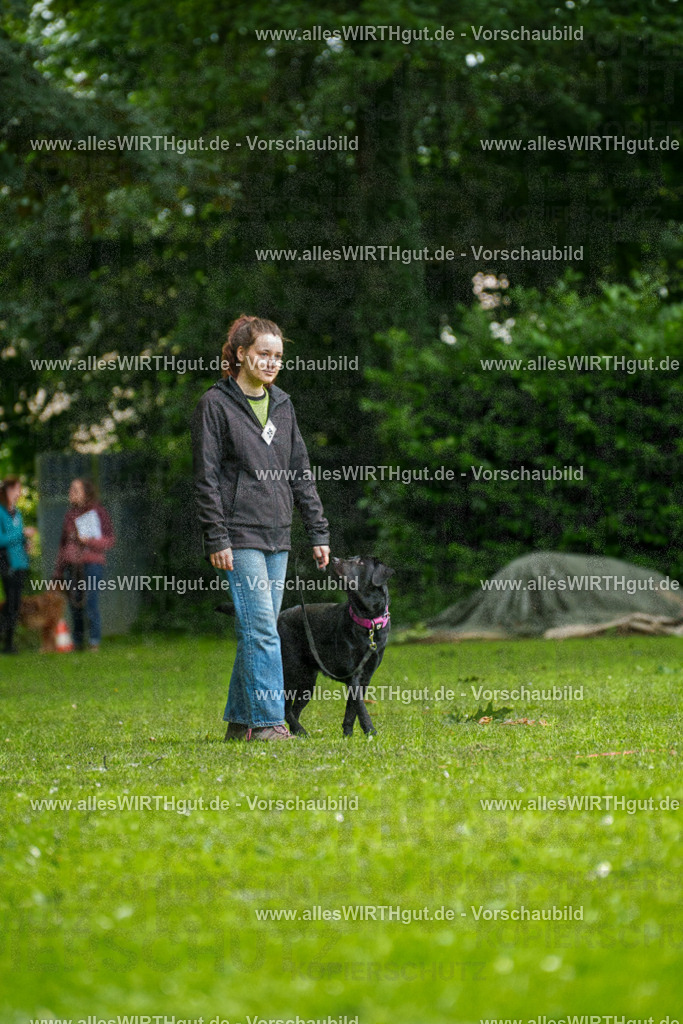 @allesWIRTHgut_Tierfotografie - www.allesWIRTHgut.de - 101418-7R508192 | Professionelle Tierfotografie in Mönchengladbach von Daniel Wirth (allesWIRTHgut). Liebevolle & natürliche Bilder von Hunden & Katzen für unvergessliche Erinnerungen.