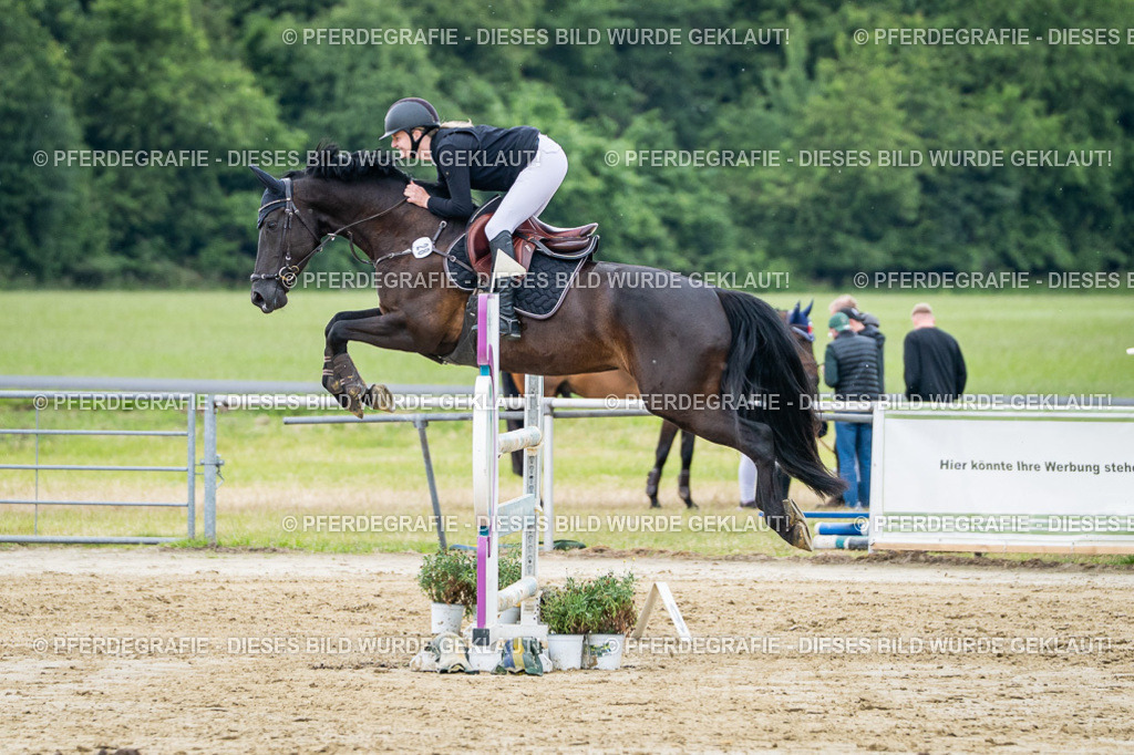 DSC04707 | Pferdegrafie