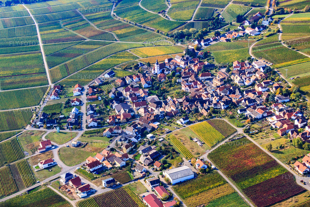 Luftbild: Winzerdorf am Haardtrand aus Norden in Weyher in der Pfalz im Bundesland Rheinland-Pfalz in Deutschland. Foto: IMG_22177.jpg vom 15.10.2009 durch Werner Riehm/FLY-FOTO.de