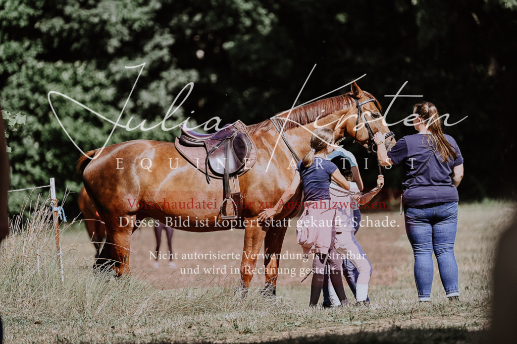 DSC_1810 | Pferde- und Turnierfotografie in Westsachsen. Pferdeportraits, Auftragszeichnungen und intuitive Kunst.