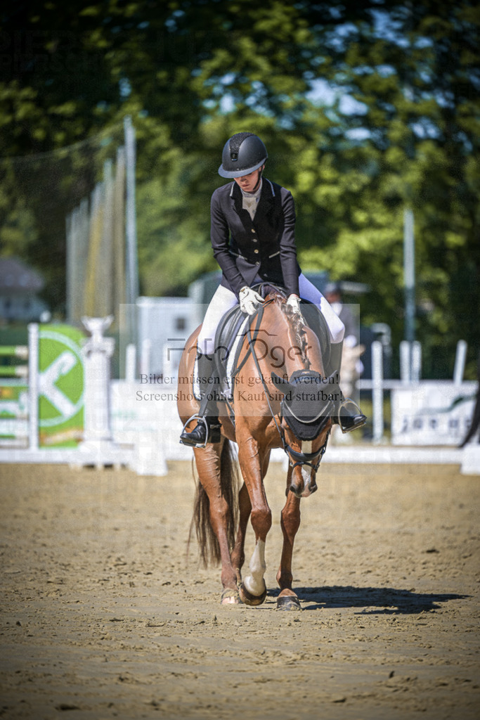 DOS_6153 | Entdecke hochwertige Reitturnierfotos von Foto Oger. Professionell, emotional und authentisch – jetzt Lieblingsmomente im Shop bestellen.Deutschlandweite Turnierfotografie. - Realisiert mit Pictrs.com