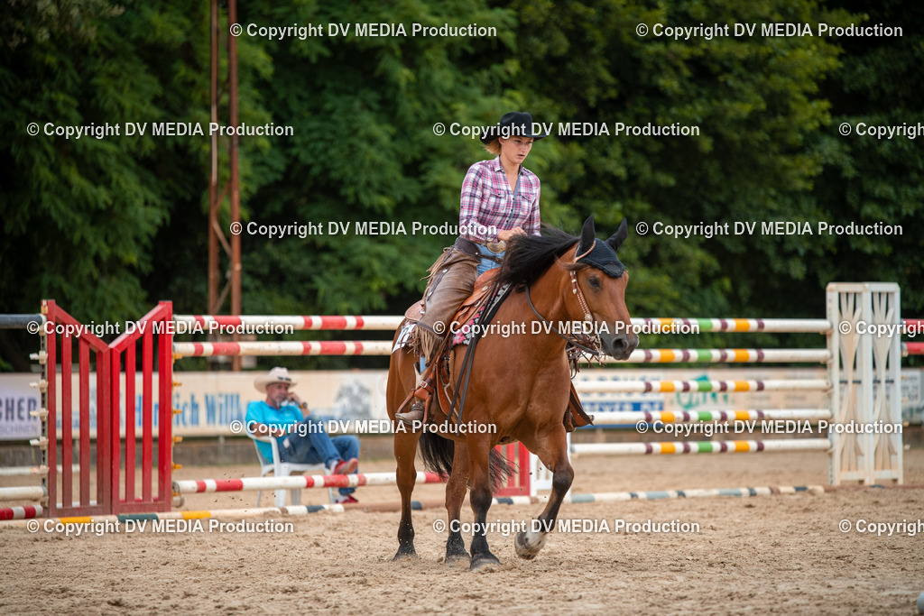 ZS2_8130 | dv-media-shop - Realisiert mit Pictrs.com