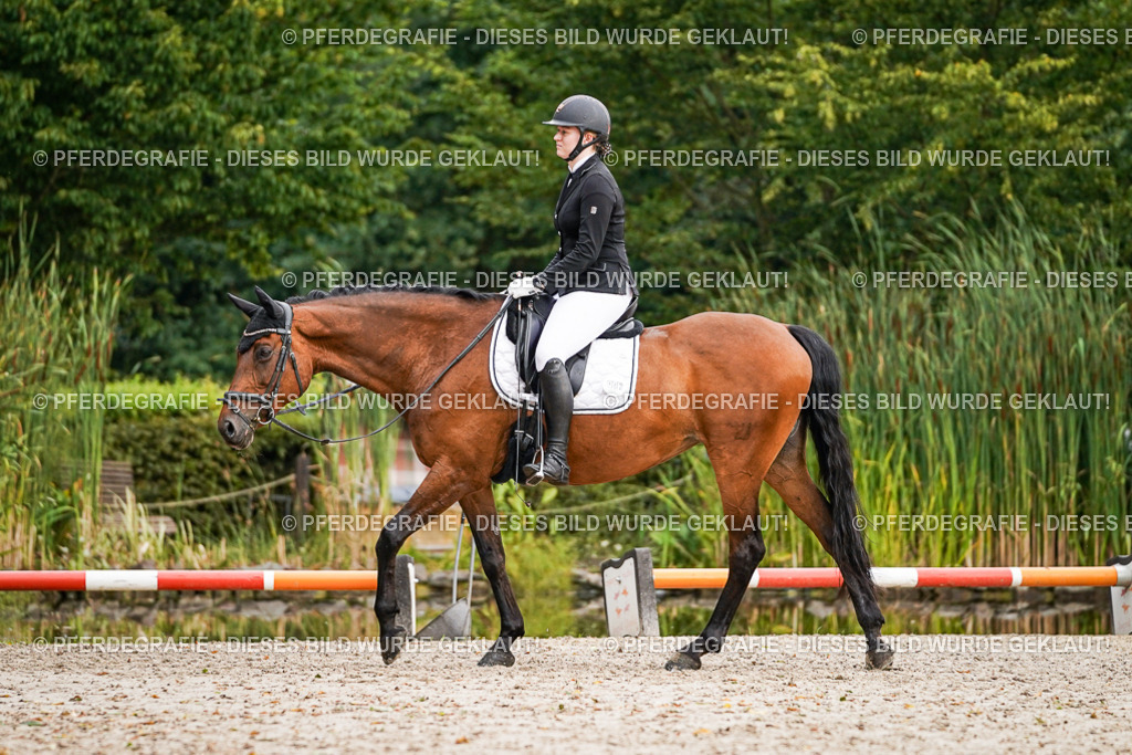 DSC01158 | Pferdegrafie