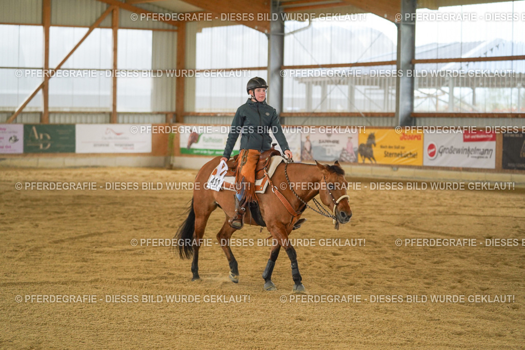 DSC06671 | Pferdegrafie