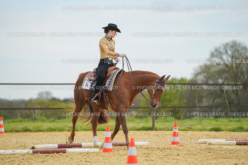 DSC03292 | Pferdegrafie