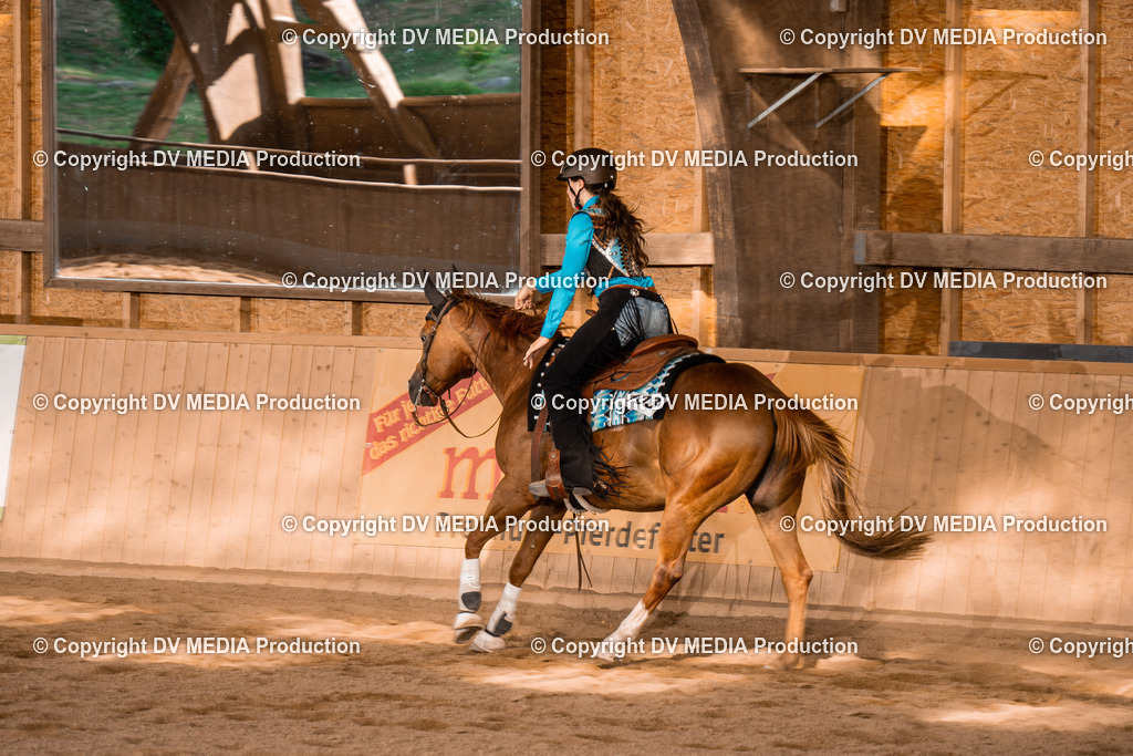 NE101145 | dv-media-shop - Realisiert mit Pictrs.com