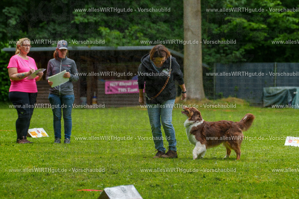 @allesWIRTHgut_Tierfotografie - www.allesWIRTHgut.de - 7R502544 | Professionelle Tierfotografie in Mönchengladbach von Daniel Wirth (allesWIRTHgut). Liebevolle & natürliche Bilder von Hunden & Katzen für unvergessliche Erinnerungen.