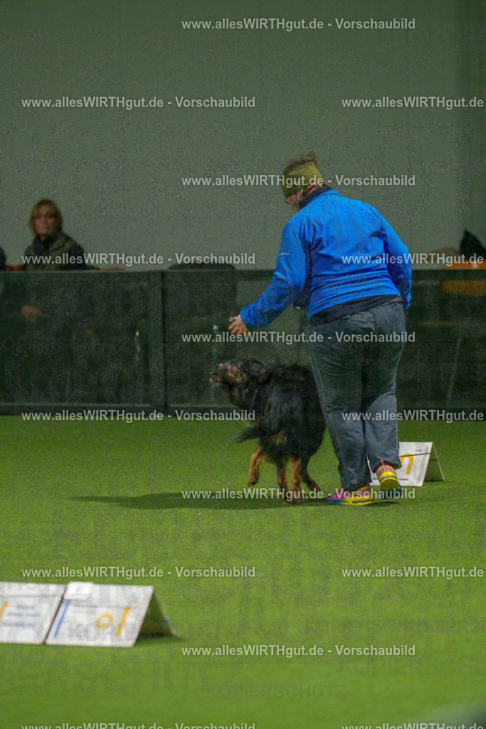 7R508700 | Professionelle Tierfotografie in Mönchengladbach von Daniel Wirth (allesWIRTHgut). Liebevolle & natürliche Bilder von Hunden & Katzen für unvergessliche Erinnerungen.