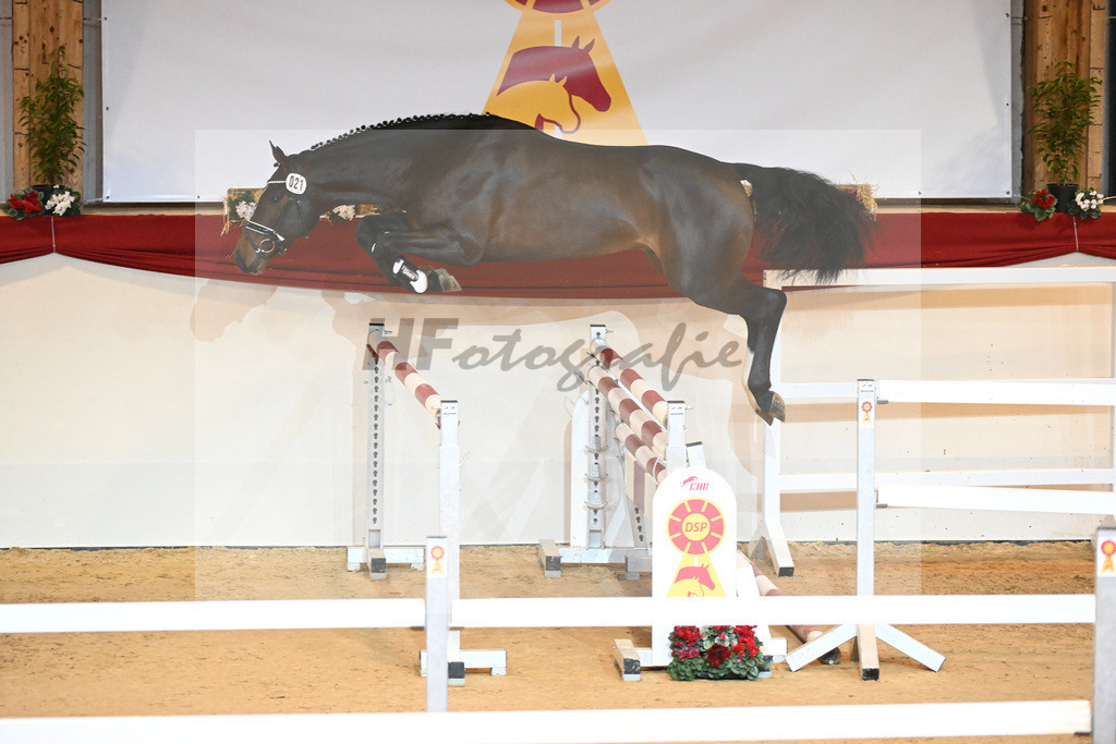 Kat-Nr. 21 Douglas VDL_VDL Stud_1230889 | hf-fotografie - Realizzato con Pictrs.com
