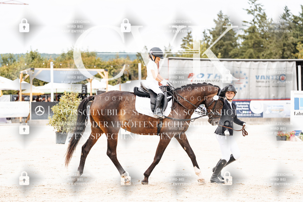 CK907055 | Turnierfotografie Pferdefotografie Trier Rheinland-Pfalz Pferdesport Reitsport Tierfotografie Sportfotografie Pferdevideo Pferdevideografie Equestrianvideography equestrianphotography  - Realisiert mit Pictrs.com