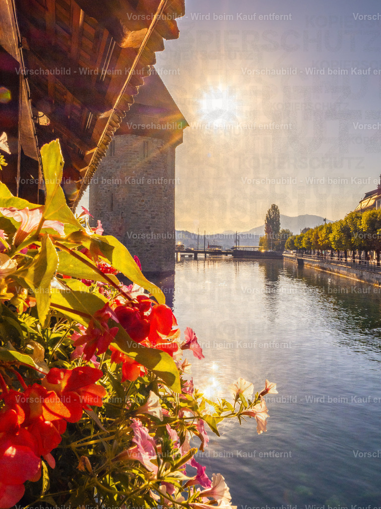 Kapellbrücke Luzern im Sommerlicht | Sommerliche Ansicht der Kapellbrücke in Luzern mit blühenden Blumen - Realisiert mit Pictrs.com