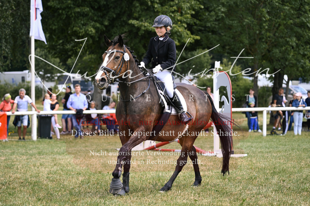 DSC_9239 | Pferde- und Turnierfotografie in Westsachsen. Pferdeportraits, Auftragszeichnungen und intuitive Kunst.