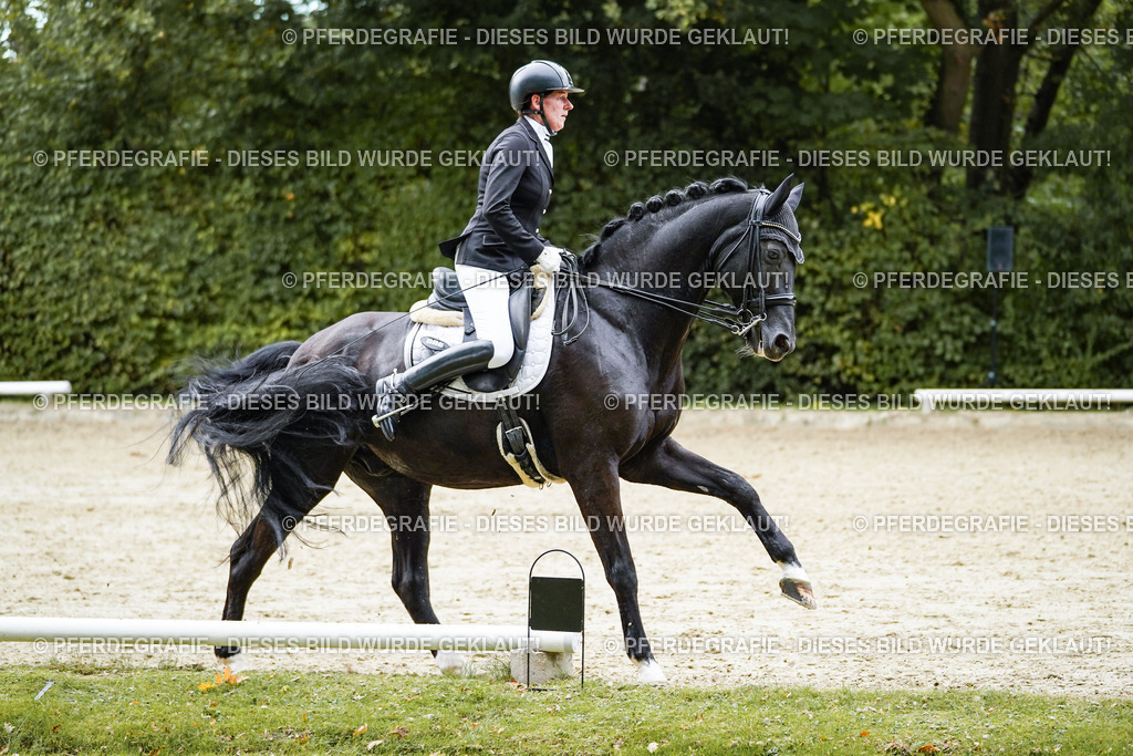 DSC02211 | Pferdegrafie