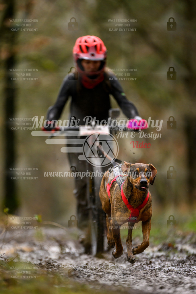 MompixPhotography_CDSM24_SA_DS1-41 | PayLife
