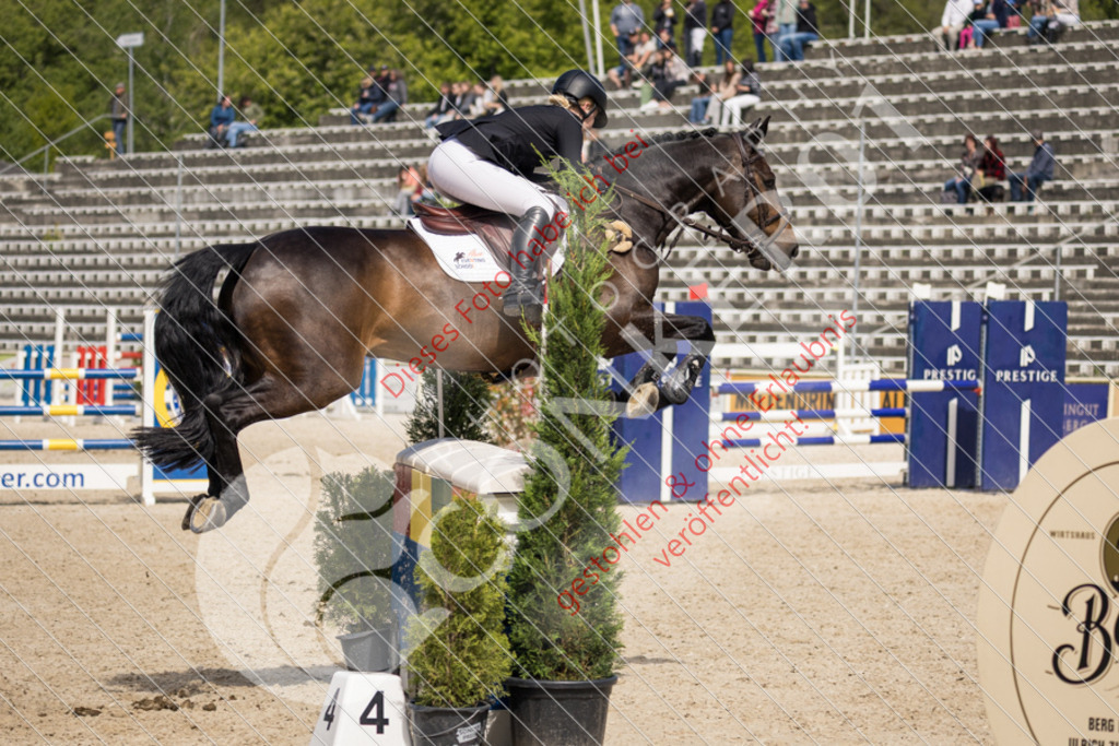 IMG_4876 | Sport-, Event- und Tierfotos in Profiqualität. Einfach auswählen, bestellen und herunterladen. Dein Moment – perfekt festgehalten.