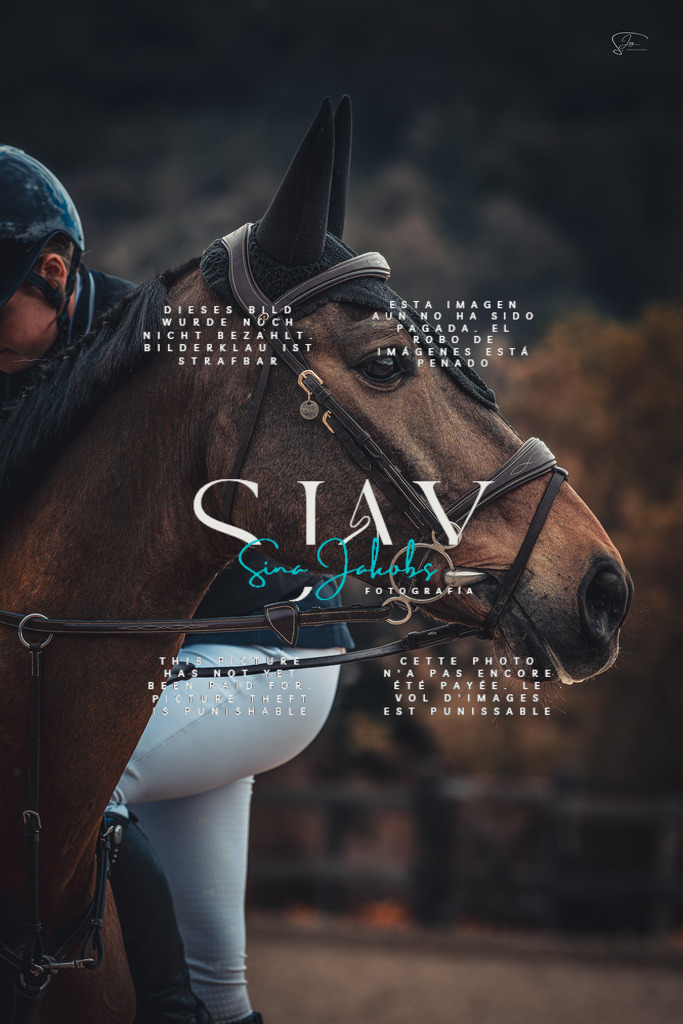 IMG_4986-Verbessert-RR | s-jay-photography - Realisiert mit Pictrs.com