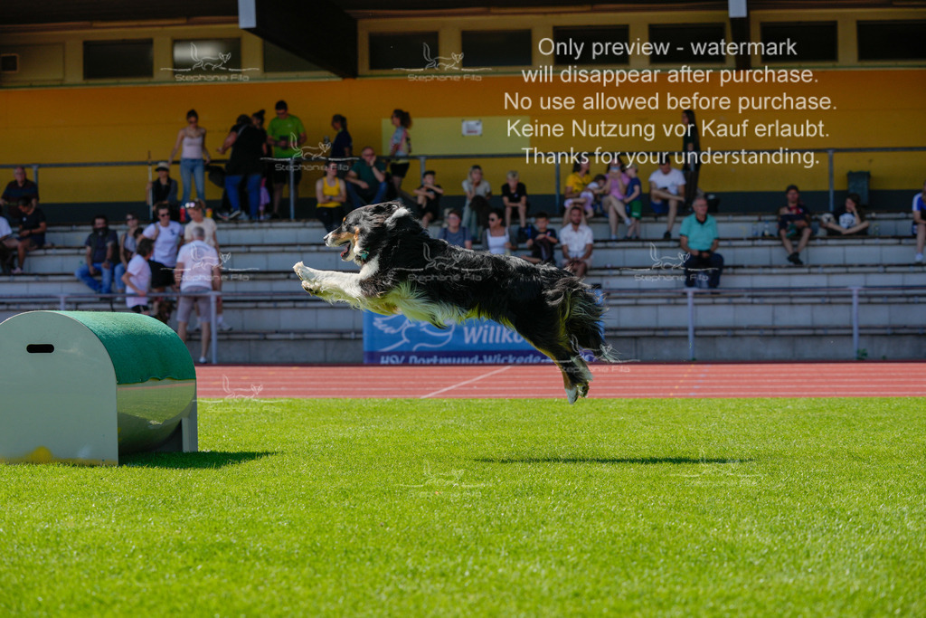 Sonntag_VK Hindernis (490 von 671) | stephaniefillaphotographie - Realisiert mit Pictrs.com