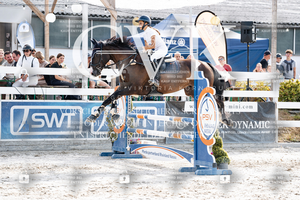 CK905930 | Turnierfotografie Pferdefotografie Trier Rheinland-Pfalz Pferdesport Reitsport Tierfotografie Sportfotografie Pferdevideo Pferdevideografie Equestrianvideography equestrianphotography  - Realisiert mit Pictrs.com