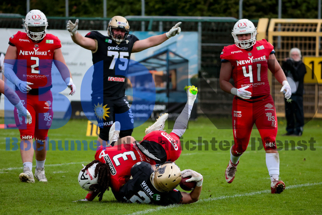GFL: Paderborn Dolphins vs. New Yorker Lions{date} -  | {headline}(Foto: Sebastian Sendlak / BOND) - Realisiert mit Pictrs.com