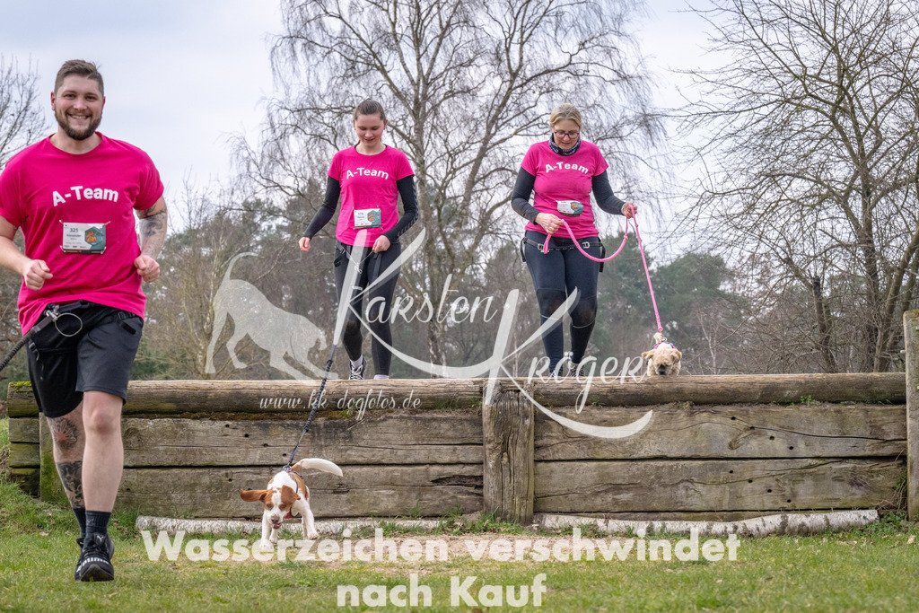 _ZZ91570 | kk-dogfotos