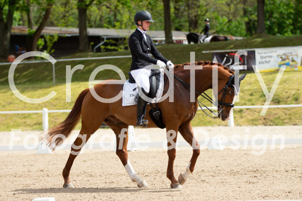 IMG_6486 | Creatify Fotografie