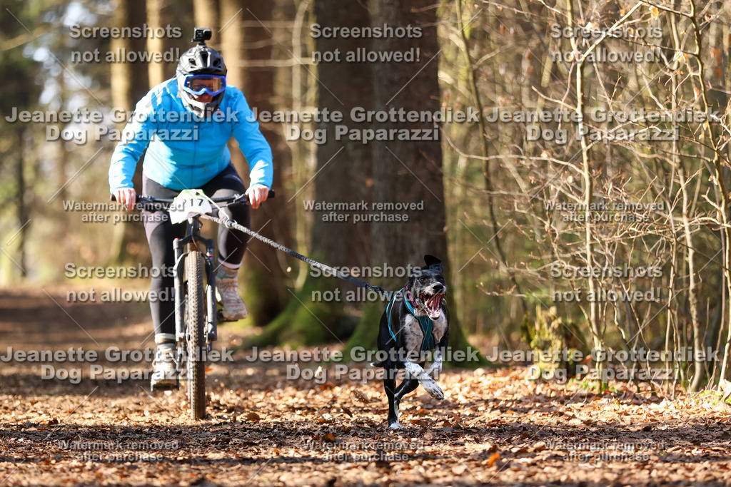Dog Paparazzi - VCC26-1024 | Dog Paparazzi Jeanette Grottendiek Fotografie & Videografie - Realisiert mit Pictrs.com