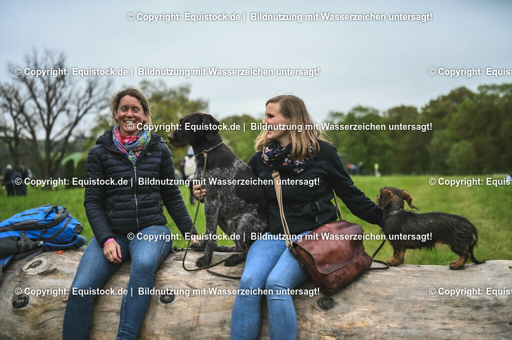 20230513_Impression_0043 | equistock