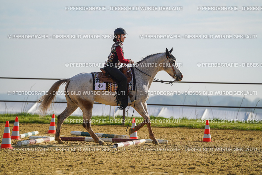 DSC00838 | Pferdegrafie