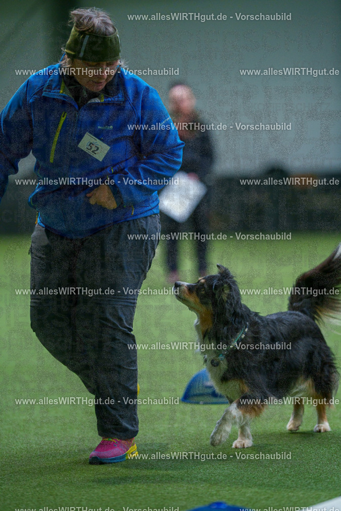 7R506448 | Professionelle Tierfotografie in Mönchengladbach von Daniel Wirth (allesWIRTHgut). Liebevolle & natürliche Bilder von Hunden & Katzen für unvergessliche Erinnerungen.