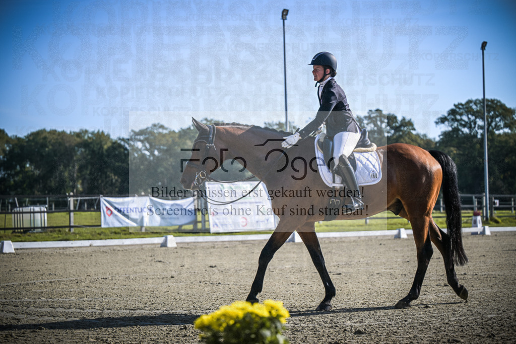 DOS_0253 | Entdecke hochwertige Reitturnierfotos von Foto Oger. Professionell, emotional und authentisch – jetzt Lieblingsmomente im Shop bestellen.Deutschlandweite Turnierfotografie. - Realisiert mit Pictrs.com