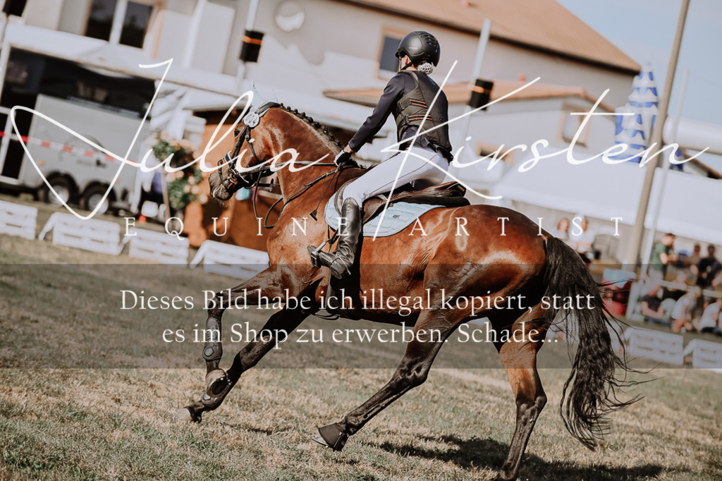 DSC_9423 | Pferde- und Turnierfotografie in Westsachsen. Pferdeportraits, Auftragszeichnungen und intuitive Kunst.