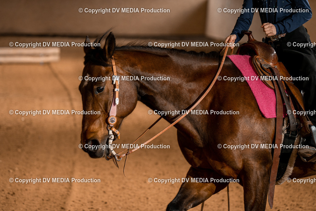 BA400627 | dv-media-shop - Realisiert mit Pictrs.com