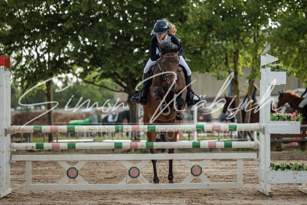 20260531-_3LI3534 | Tierfotografie Pferde, Hunde, Katzen, Haustiere.
Turnierfotografie Reitturniere, Reiten, Springreiten, Dressur in Hanau, dem Main-Kinzig-Kreis und dem Rhein-Main- Gebiet um Frankfurt