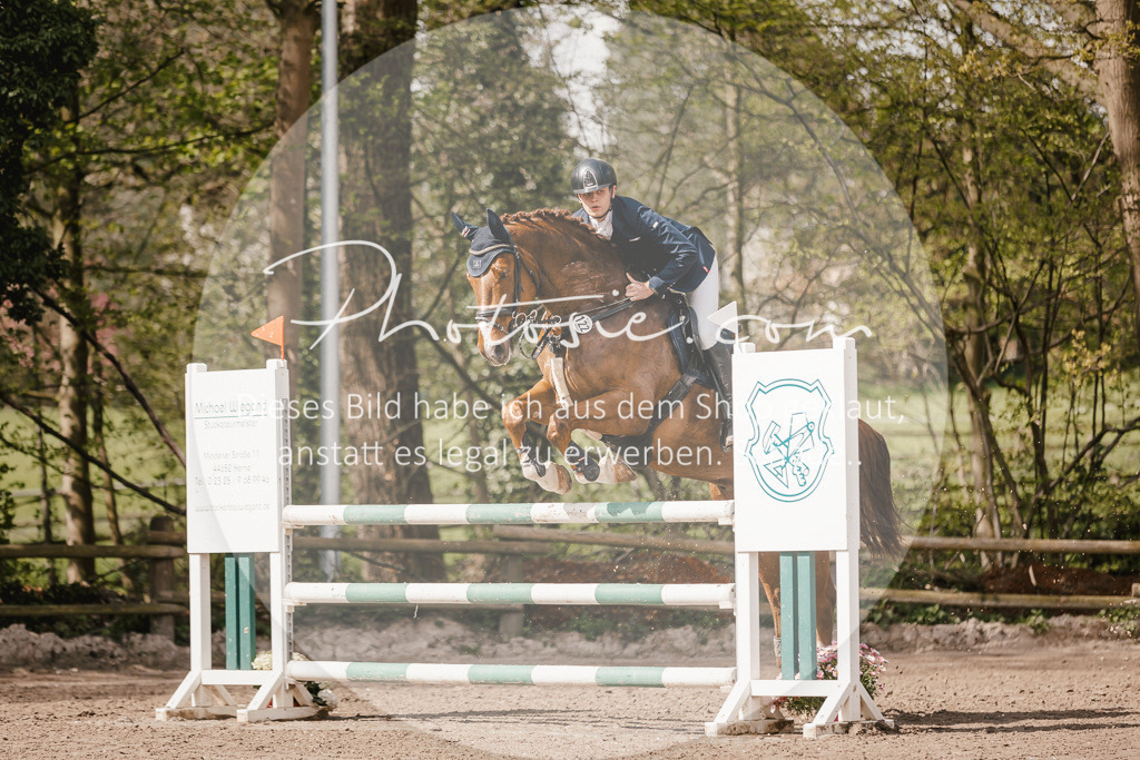 3I6A4303 | Stimmungsvolle Portraits und Reitsportfotografie im Ruhrgebiet und im Münsterland.

Pferdefotografie, Hundefotografie, Tierfotografie, Reportagen, Portraits von Tier und Mensch, Turnierfotografie in Bochum, Recklinghausen, Marl, Haltern am See, Dülmen.. - Realisiert mit Pictrs.com
