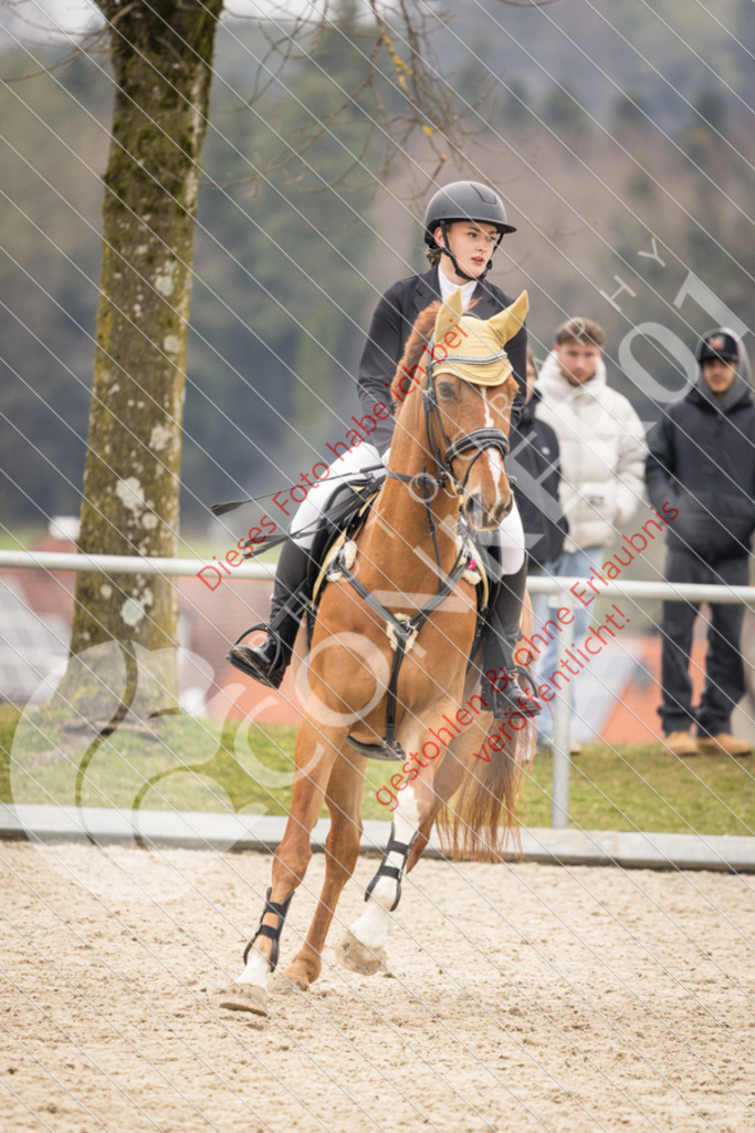 CON_1660 | Sport-, Event- und Tierfotos in Profiqualität. Einfach auswählen, bestellen und herunterladen. Dein Moment – perfekt festgehalten.