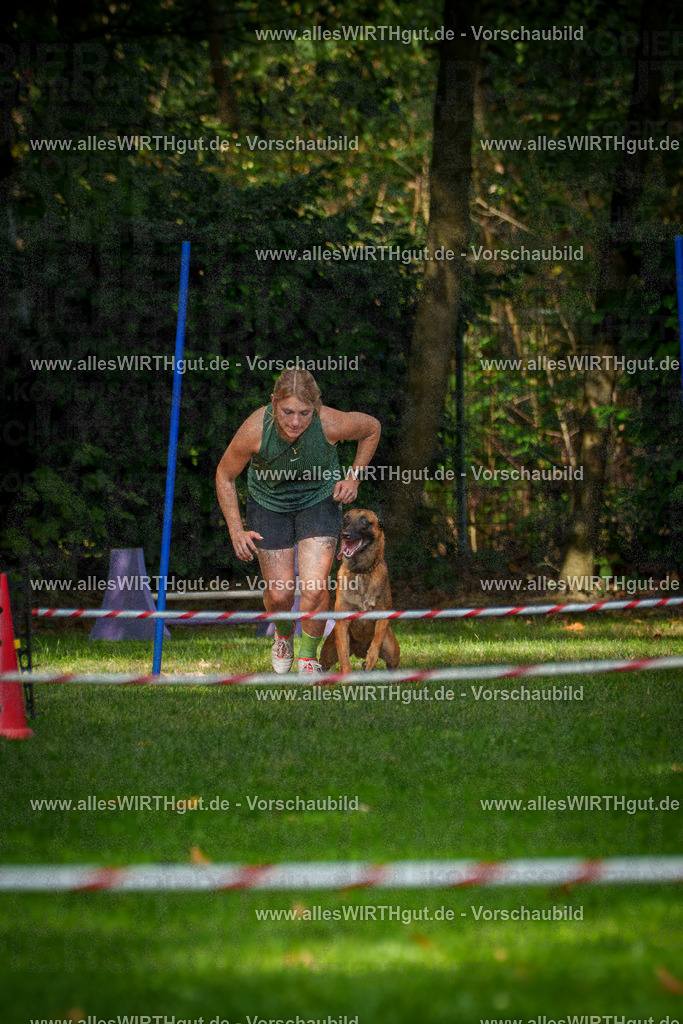 THS_Turnier_27-09-2026-allesWIRTHgut_Tierfotografie-7R506704 | Professionelle Tierfotografie in Mönchengladbach von Daniel Wirth (allesWIRTHgut). Liebevolle & natürliche Bilder von Hunden & Katzen für unvergessliche Erinnerungen.