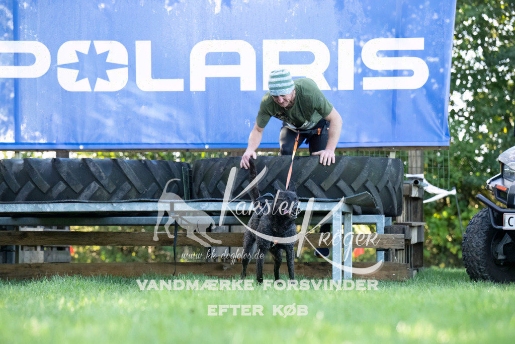 1014--12 | kk-dogfotos