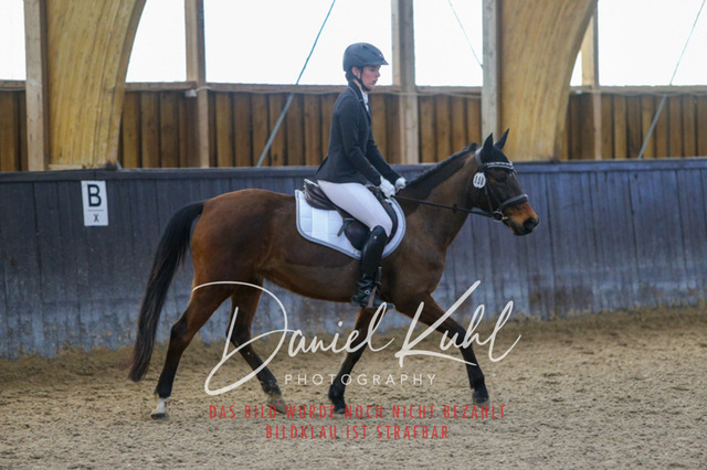 IMG_1122 | Turniersportfotografie; Pferdefotografie; Dressurfotografie