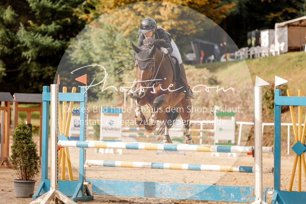 3I6A6767 | Stimmungsvolle Portraits und Reitsportfotografie im Ruhrgebiet und im Münsterland.

Pferdefotografie, Hundefotografie, Tierfotografie, Reportagen, Portraits von Tier und Mensch, Turnierfotografie in Bochum, Recklinghausen, Marl, Haltern am See, Dülmen.. - Realisiert mit Pictrs.com