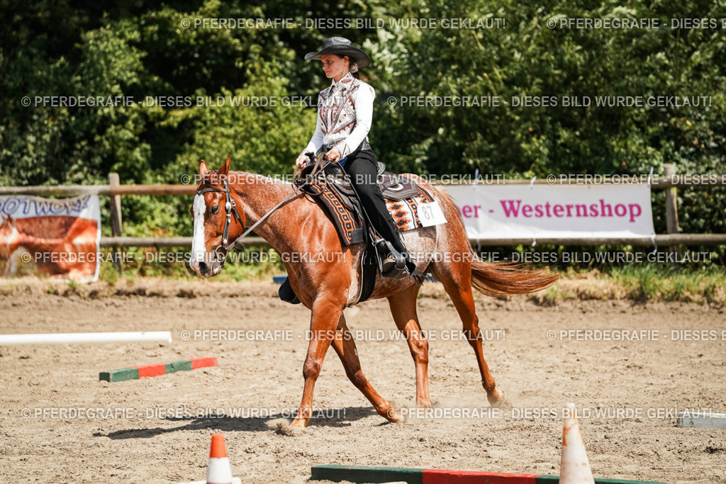 DSC07724 | Pferdegrafie