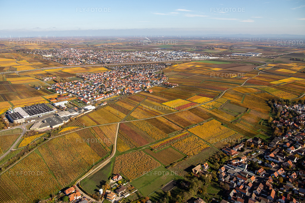 Luftbild: Dorf - Ansicht im Ortsteil Sausenheim in Grünstadt im Bundesland Rheinland-Pfalz in Deutschland. Foto: IMG_123598.jpg vom 31.10.2020 durch Werner Riehm/FLY-FOTO.de