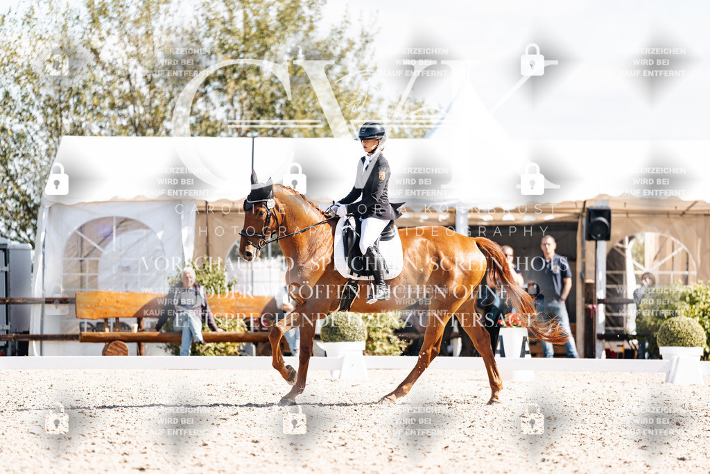 CK902847 | Turnierfotografie Pferdefotografie Trier Rheinland-Pfalz Pferdesport Reitsport Tierfotografie Sportfotografie Pferdevideo Pferdevideografie Equestrianvideography equestrianphotography  - Realisiert mit Pictrs.com