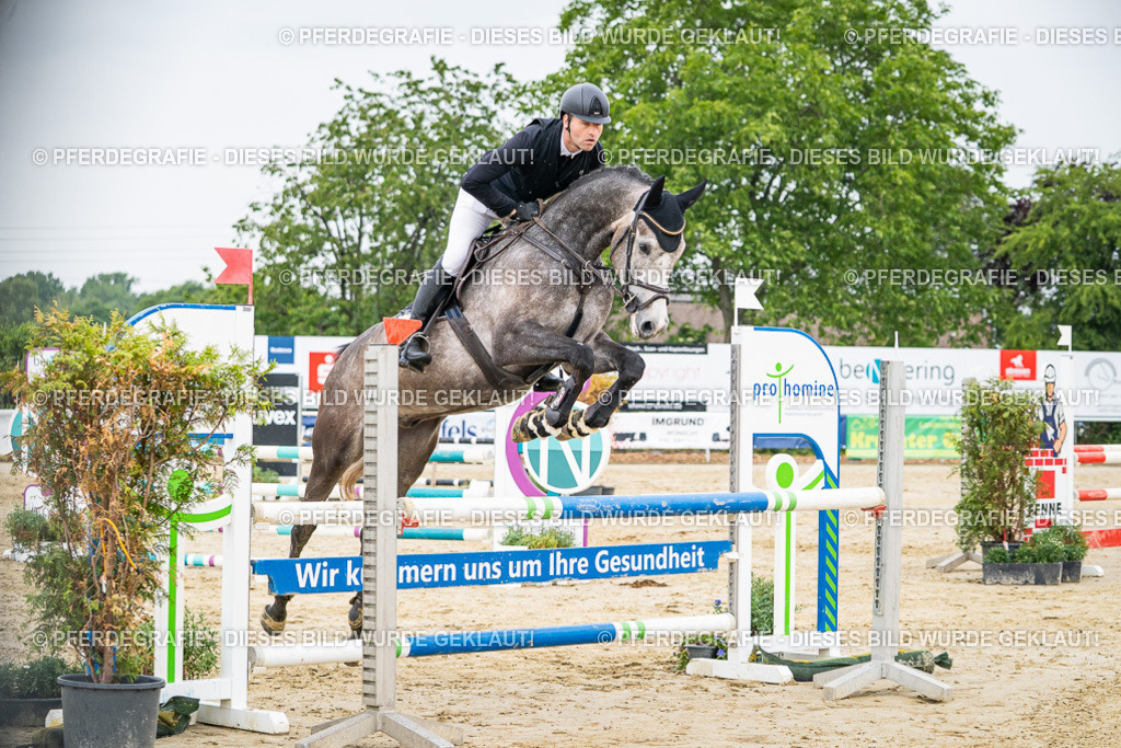 DSC09668 | Pferdegrafie