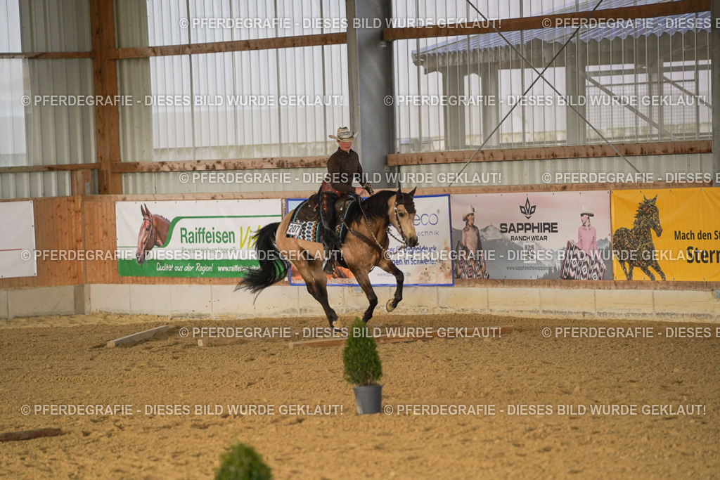 DSC01767 | Pferdegrafie