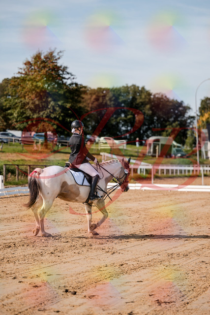 2026_10_03_Siefer-Hof_114807_Z63_27855041 | Professionelle Reitsport-, Turnier- und Eventfotografie von Robert Broda. Galerien mit ausgewählten und bearbeiteten Bildern direkt online ansehen und bestellen.