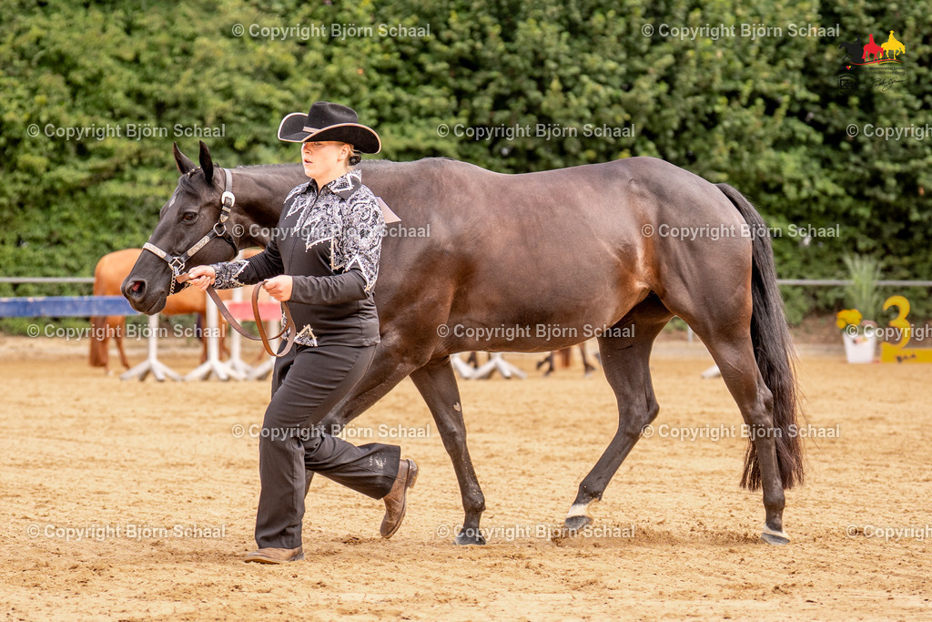 LMS06673 | BS-foto