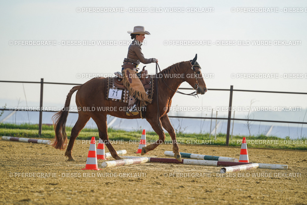 DSC09757 | Pferdegrafie