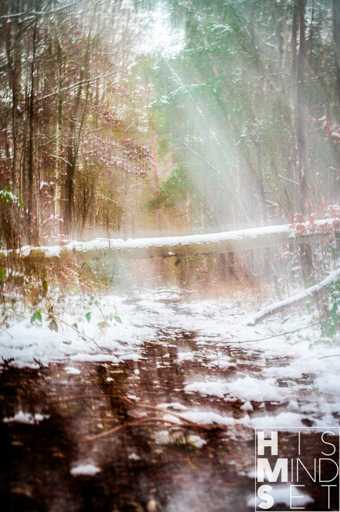 Fixed Movement | Sichere dir dein Lieblingsbild von HISMINDSET als Print für dein Zuhause oder das Büro! - Realisiert mit Pictrs.com